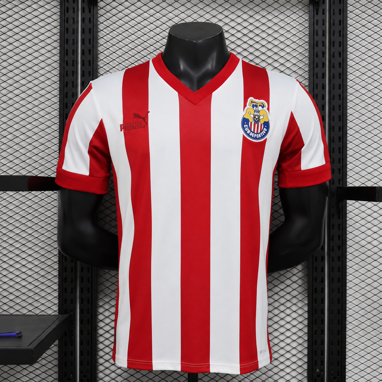 Chivas Edición "115" Versión Retro | Temporada 20-21
