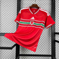 Gales Local Versión Fan | Mundial 2026