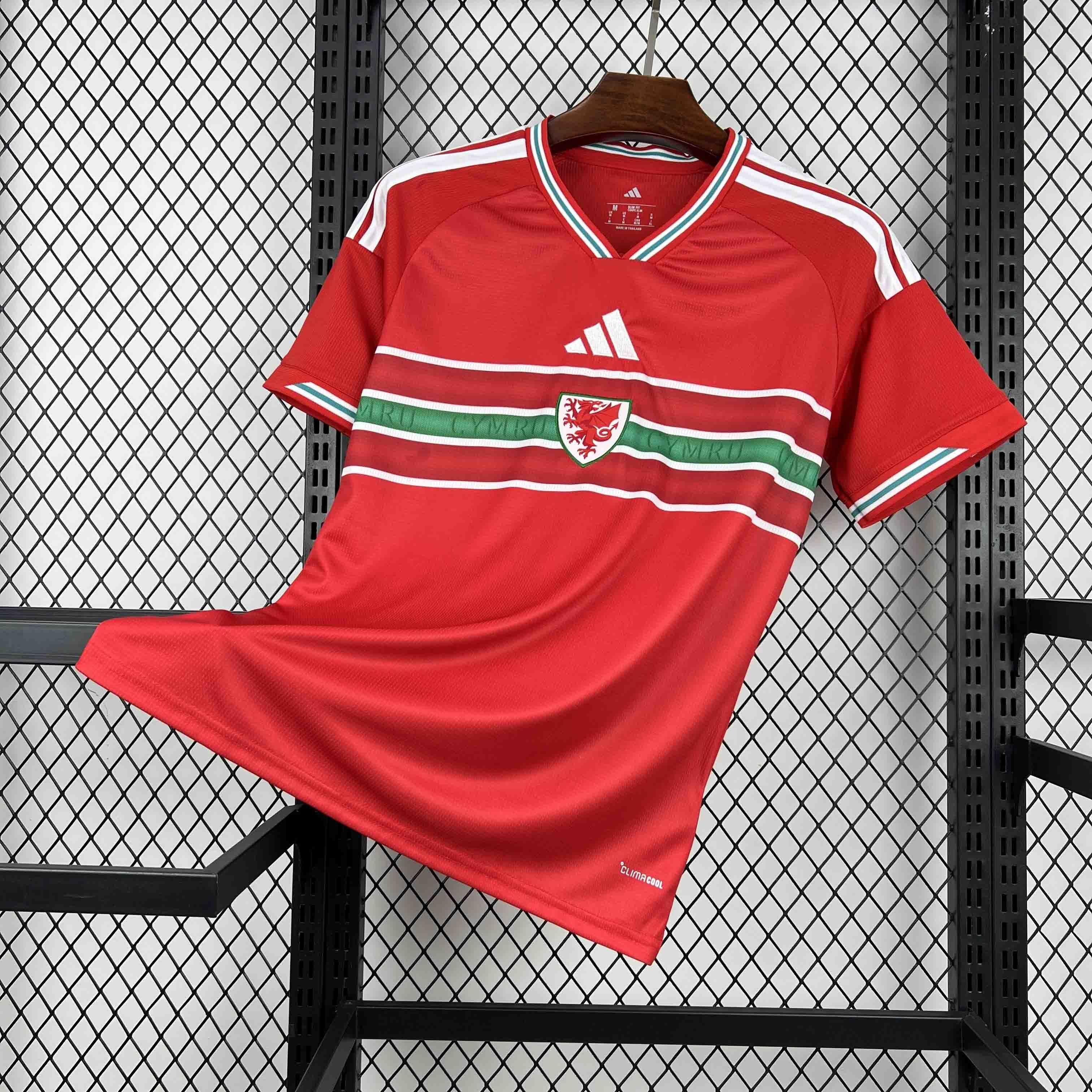 Gales Local Versión Fan | Mundial 2026